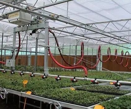 Seeding/Vegetables/Fruit/Flower Controlled Environment Hydroponic Seedling Greenhouse