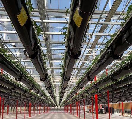 Anti-Drip Fogging Hydroponic Seedling Structure Perfect for Customer Requirements