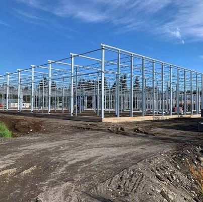 Anti-Drip Fogging Hydroponic Seedling Structure Perfect for Customer Requirements