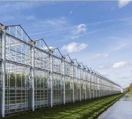 Anti-Drip Fogging Hydroponic Seedling Structure Perfect for Customer Requirements