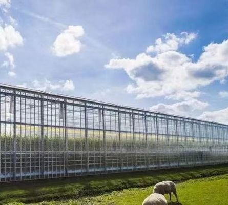 Anti-Drip Fogging Hydroponic Seedling Structure Perfect for Customer Requirements