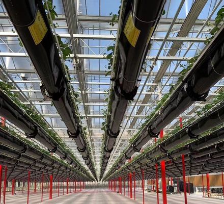 Cultivation Method Hydroponics US Regulated Glass Greenhouse for Vegetable/Flower/Fruit