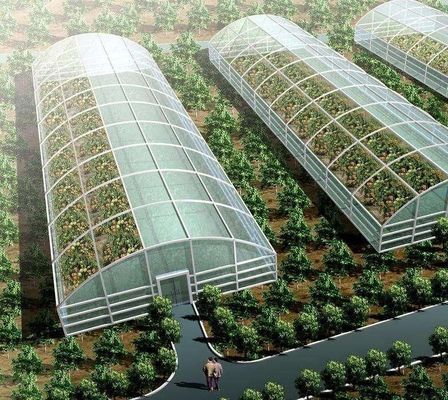 Cultivation Method Hydroponics US Regulated Glass Greenhouse for Vegetable/Flower/Fruit