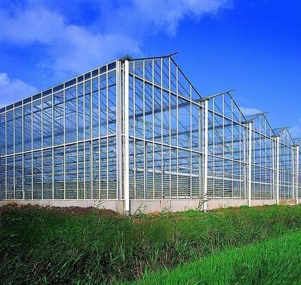 Cultivation Method Hydroponics US Regulated Glass Greenhouse for Vegetable/Flower/Fruit