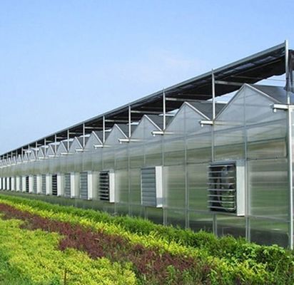 Cultivation Method Hydroponics US Regulated Glass Greenhouse for Vegetable/Flower/Fruit