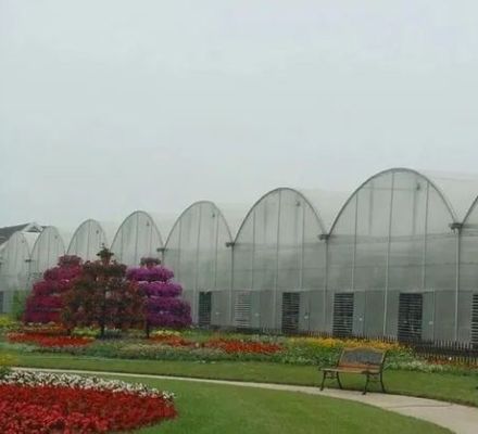 Polycarbonate Sheet Greenhouse Green House Rdgu0808h-10mm with US and Farm Equipment