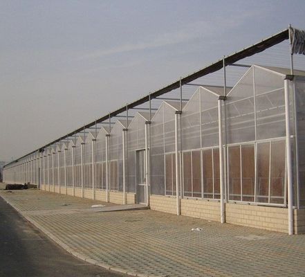 Polycarbonate Sheet Greenhouse Green House Rdgu0808h-10mm with US and Farm Equipment