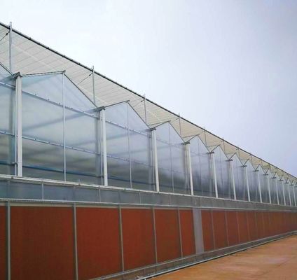 Polycarbonate Sheet Greenhouse Green House Rdgu0808h-10mm with US and Farm Equipment