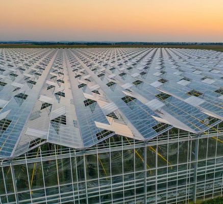 Polycarbonate Sheet Greenhouse Green House Rdgu0808h-10mm with US and Farm Equipment