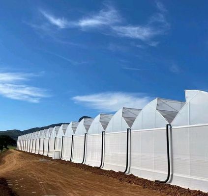 Venlo-Style Roof Double Layer Plastic Film Hydroponic Seedling System for Agriculture
