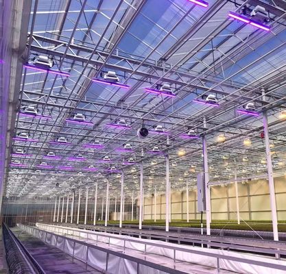 Venlo-Style Roof Double Layer Plastic Film Hydroponic Seedling System for Agriculture
