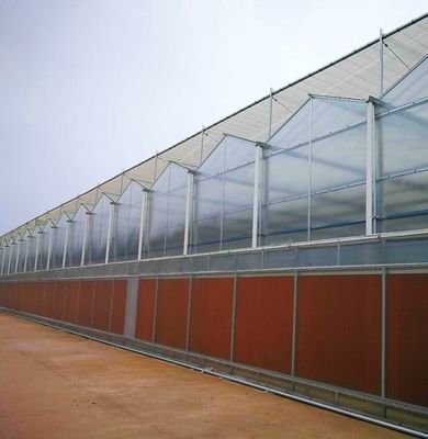 Venlo-Style Roof Double Layer Plastic Film Hydroponic Seedling System for Agriculture