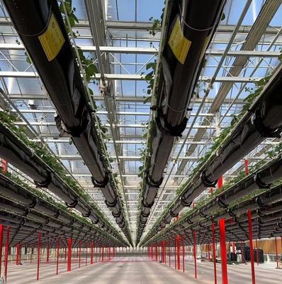 Venlo-Style Roof Double Layer Plastic Film Hydroponic Seedling System for Agriculture